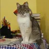 Отзыв от Жанна Наумова